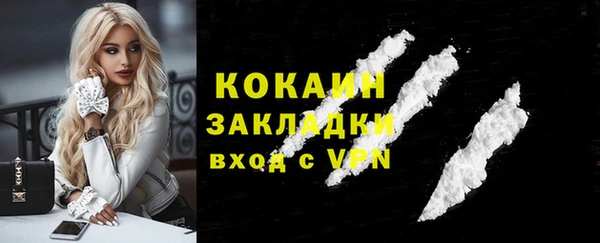 дживик Абинск