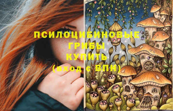 спайс Абаза