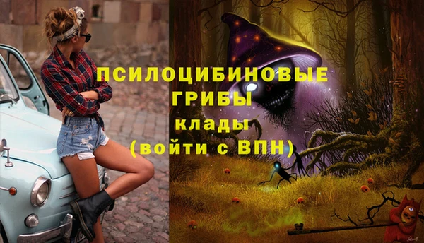 мяу мяу мука Абдулино