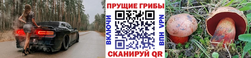 Галлюциногенные грибы MAGIC MUSHROOMS  KRAKEN вход  Стерлитамак 